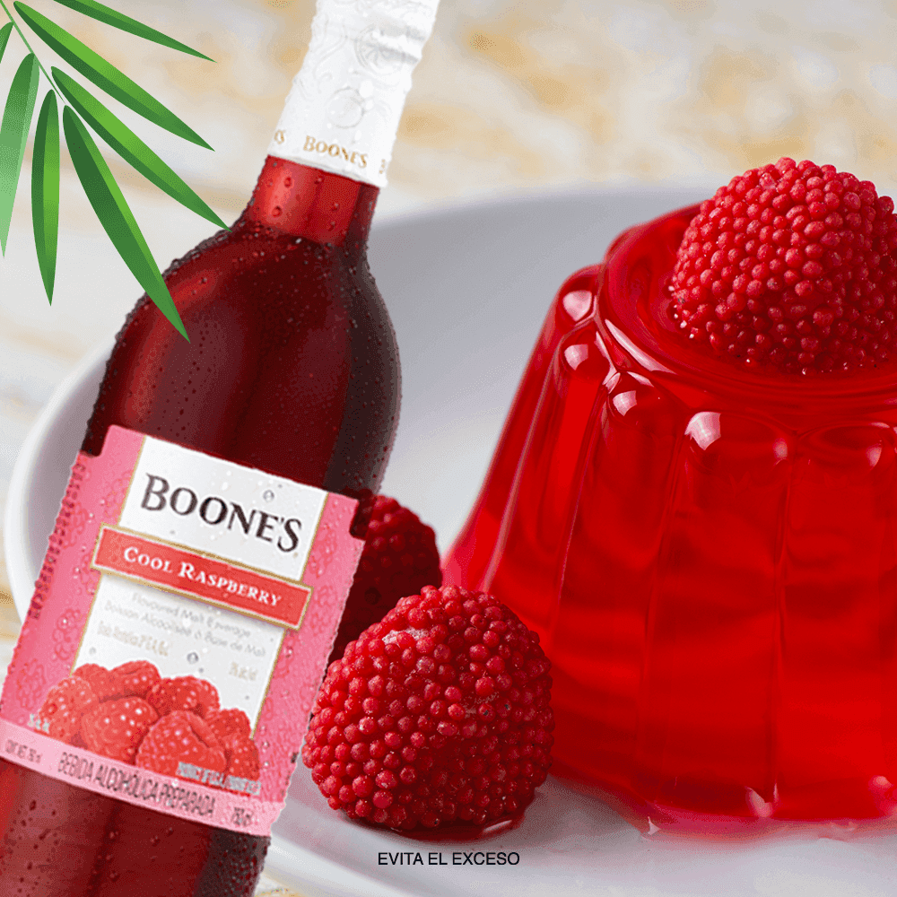 gelatina-de-frambuesa-boones.png